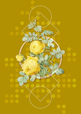 Vintage Sulphur Rose