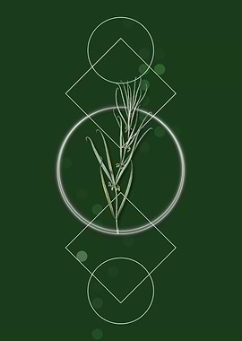 Siberian Solomons Seal