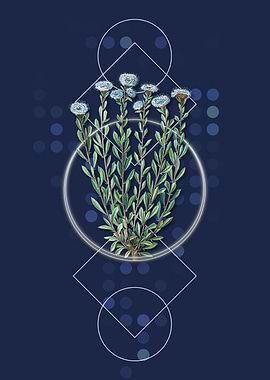 Vintage Globe Daisies