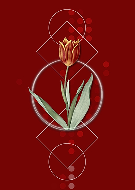 Vintage Tulip Flower