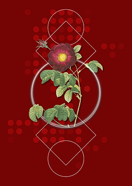 Vintage Red Rose Flower