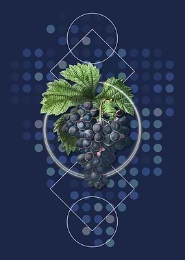 Vintage Grape Vine Fruit