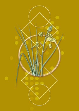 Vintage Slime Lily Flower