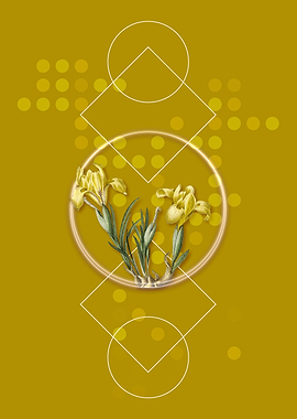 Vintage Sand Iris Flower