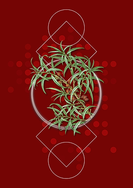 Retro Common Sea Buckthorn