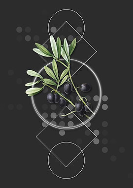 Vintage Olive Tree Branch