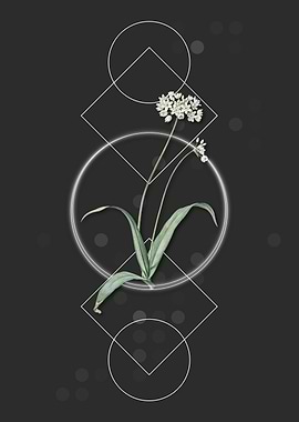 Vintage Spring Garlic