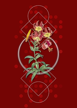 Vintage Turban Lily Flower