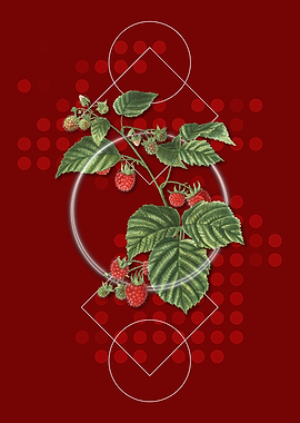 Vintage Raspberry Fruit