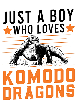 Just A Boy Who Loves