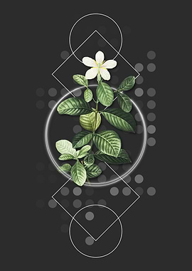 Vintage Gardenia Flower