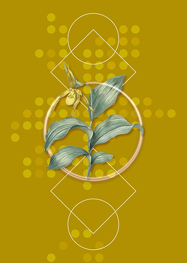 Retro Ladys Slipper Orchid