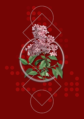 Vintage Chinese Lilac