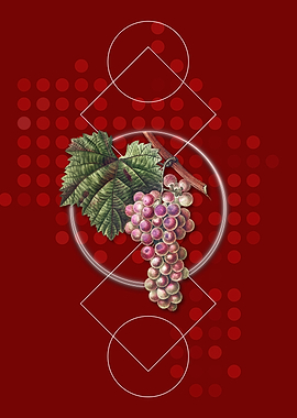 Vintage Grape Vine Fruit