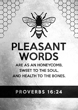 Proverbs 16 24