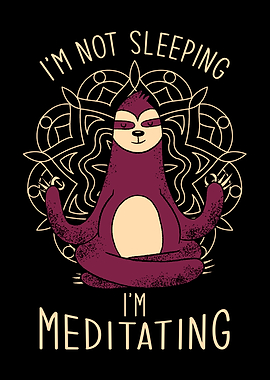 Meditation Sloth