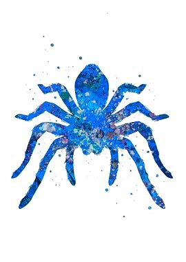 Spider blue