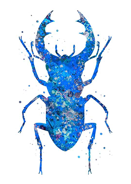 Stag beetle blue art