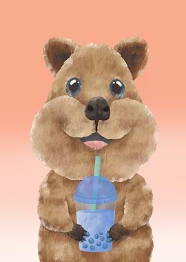 Quokka Boba Tea