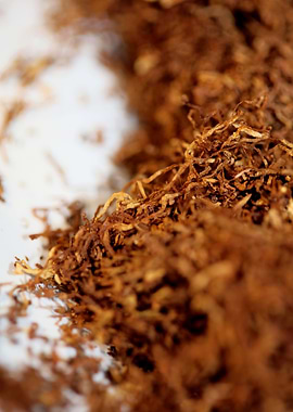 Rolling tobacco leaves