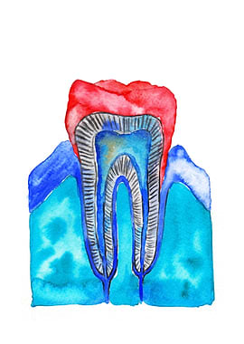 Tooth