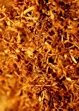 Rolling tobacco background