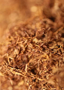 Rolling tobacco leaves