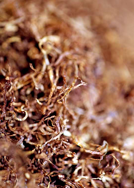 Rolling tobacco wallposter