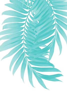 Palm Leaves Soft Turquoise
