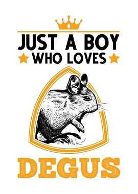 Just A Boy Who Loves Degus