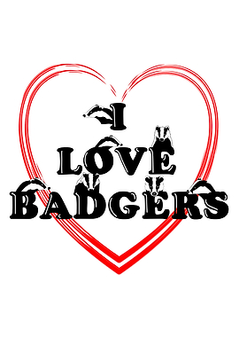 I love Badgers
