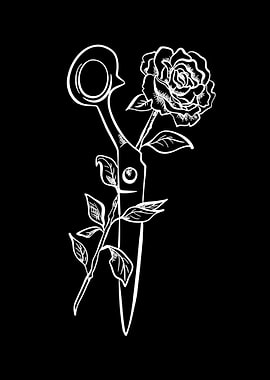 Hairdresser Scissors