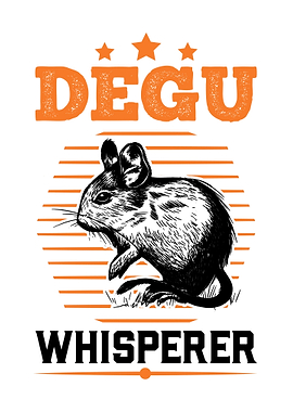 Degu Whisperer Chilean