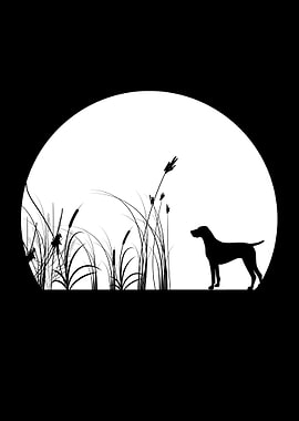 German Shorthair Pointer