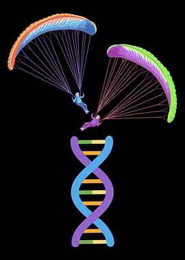 Paragliding Paraglider