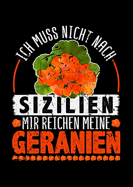 Blumen Geranien Floristin