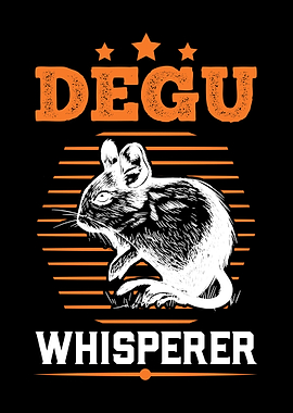 Degu Whisperer Chilean