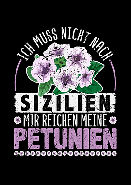 Petunien Floristin Blumen