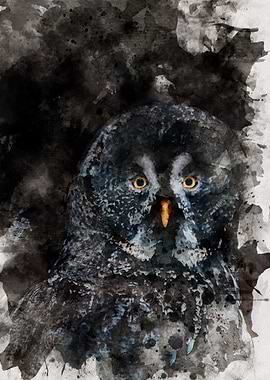 Watercolor Owl