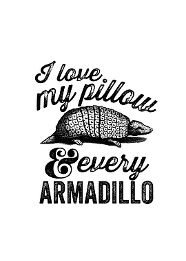 I love my pillow and every