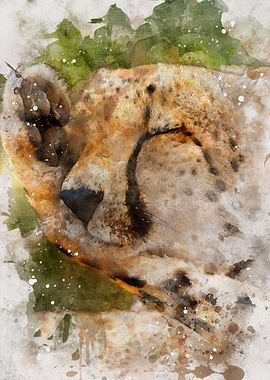 Watercolor Cheetah