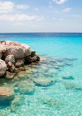 Caribbean Ocean Dream 1