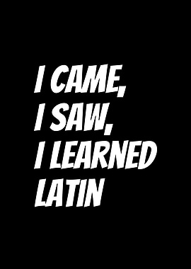 I came I saw I learned