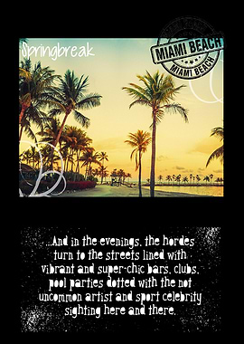 Miami Springbreak Design