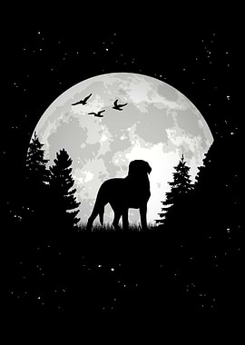 Appenzeller Sennenhund