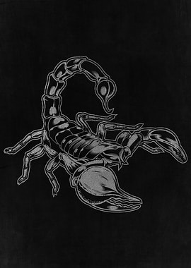 Silver Scorpion Scorpio