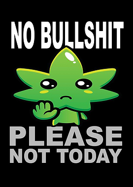 No Bullshit Please Not