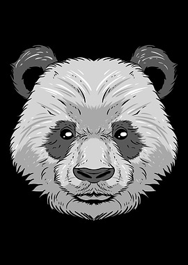 Panda Bear