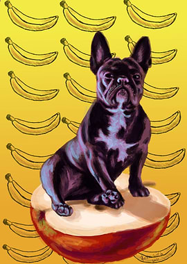 Buldog manzana voladora