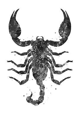 Scorpio animal